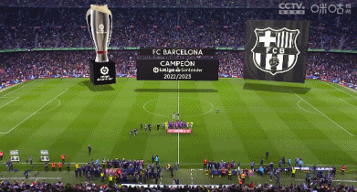 博彩运营商赞助野生动物保护